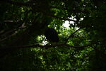DSC_9138.JPG